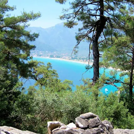 Room In Studio - Hotel Georgia - Beautiful Room In Golden Beach In Thassos Island 招待所